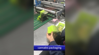 Child Proof Exit Bags: Προσαρμοσμένη τυπωμένη θήκη B2B, συμβατή με δίπλωμα ευρεσιτεχνίας ΗΠΑ