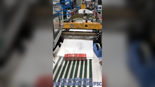 Προσαρμοσμένες τυπωμένες γυάλινες χάρτινες σακούλες κινεζικού εργοστασίου Φιλικές προς το περιβάλλον