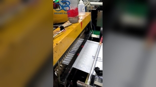 Προσαρμοσμένες τυπωμένες τσάντες παγωμένου γυαλιού Εξατομικευμένο λογότυπο Ανακυκλώσιμη τσάντα δώρου