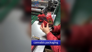 Child Resistant Bag Wholesaler: Ασφαλείς προσαρμοσμένες εκτυπωμένες τσάντες συμβατές με δίπλωμα ευρεσιτεχνίας ΗΠΑ B2B