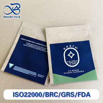 Προσαρμοσμένες Τυπωμένες Χάρτινες Τσάντες Kraft Μαζική Παραγγελία Οικολογικές Εκτύπωση Λογοτύπου 10 Χρωμάτων Λιανικής.