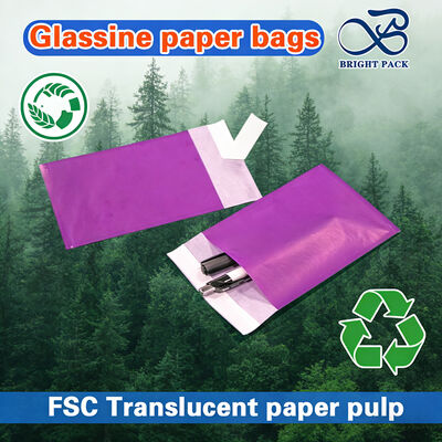 Τσάντες από γυαλιστερό χαρτί πιστοποιημένο FSC με υψηλή διαφάνεια και προσαρμόσιμα μεγέθη για συσκευασία πολυτελών ενδυμάτων